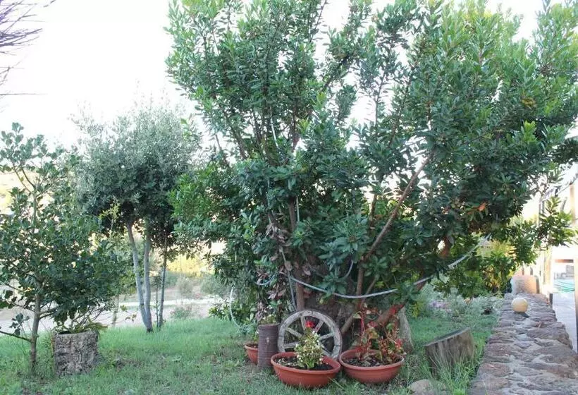ホテル Agriturismo Su Recreu