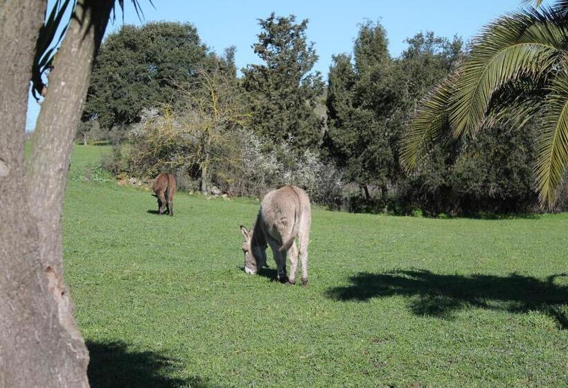 בית מלון כפרי Agriturismo Su Recreu