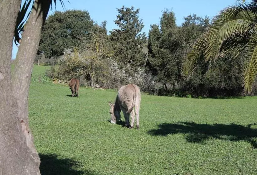 ホテル Agriturismo Su Recreu