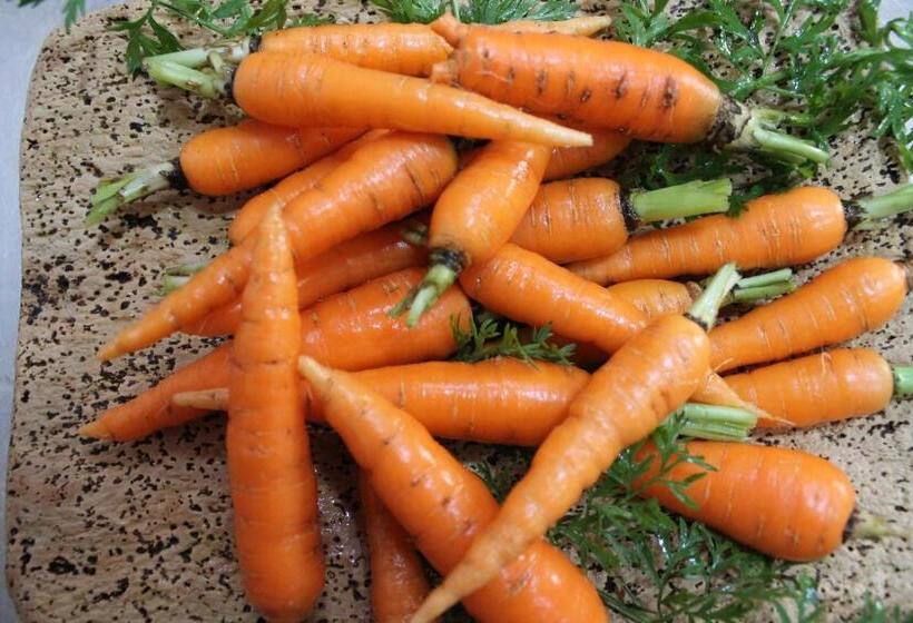 בית מלון כפרי Agriturismo Su Recreu