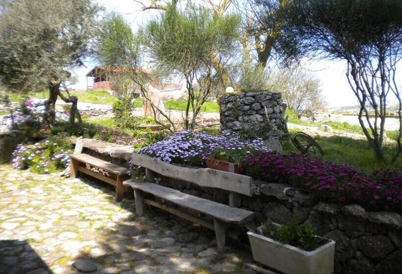 בית מלון כפרי Agriturismo Su Recreu