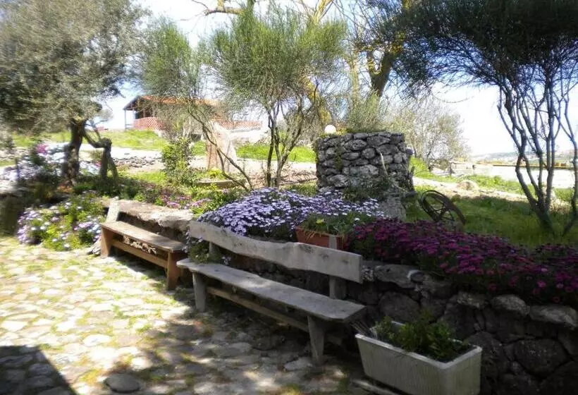 ホテル Agriturismo Su Recreu
