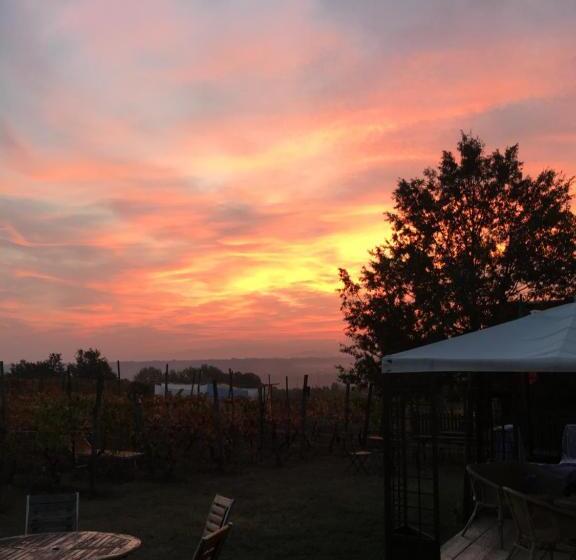 فندق Cascina La Maddalena Bed & Wine