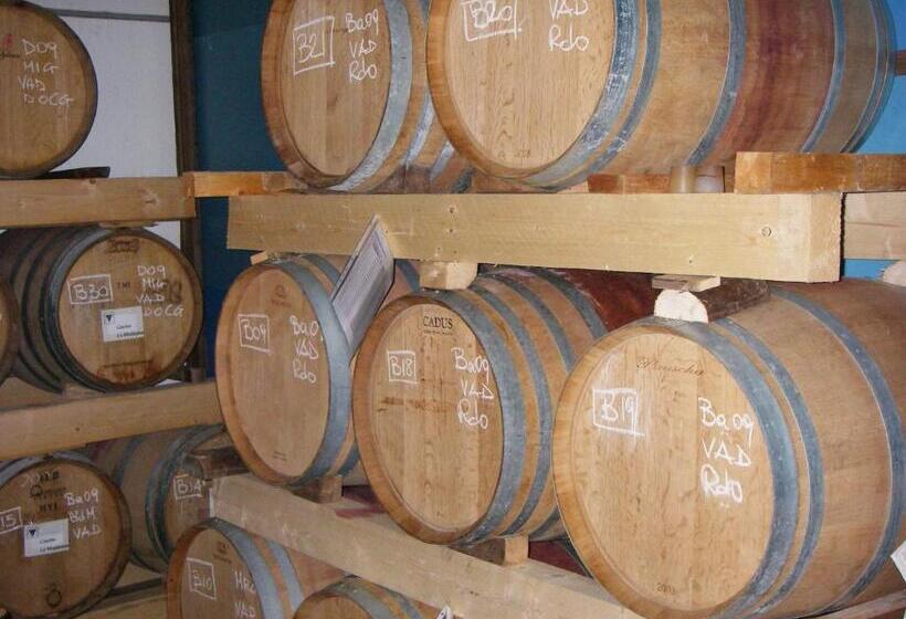 فندق Cascina La Maddalena Bed & Wine