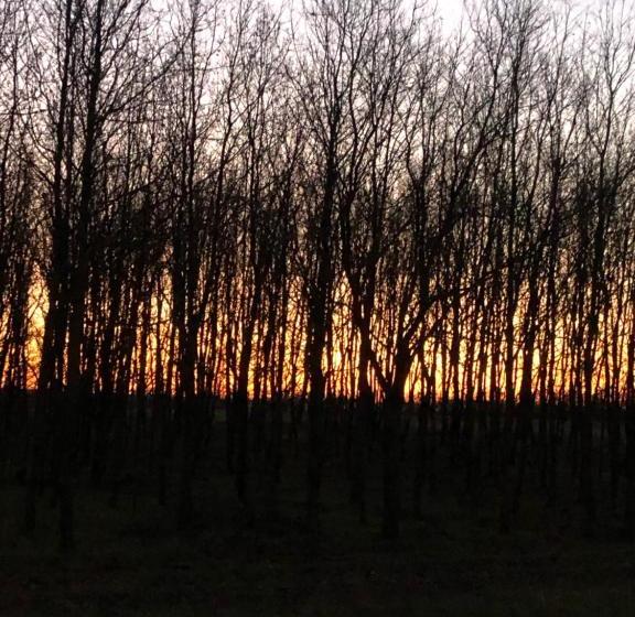 فندق Cascina La Maddalena Bed & Wine