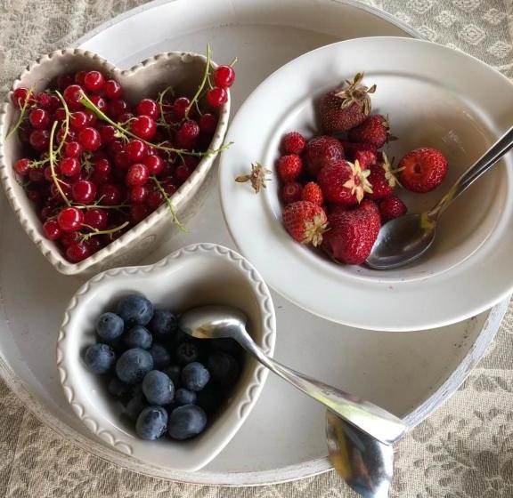 فندق Cascina La Maddalena Bed & Wine