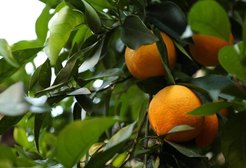 酒店 Relais Casamassima