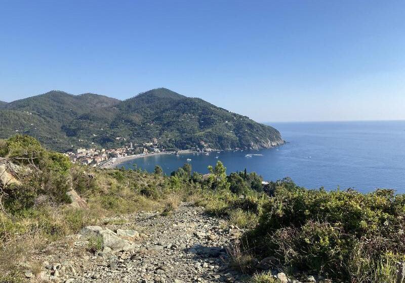 پانسیون Affittacamere Il Veliero