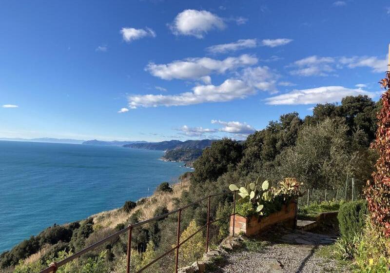 پانسیون Affittacamere Il Veliero