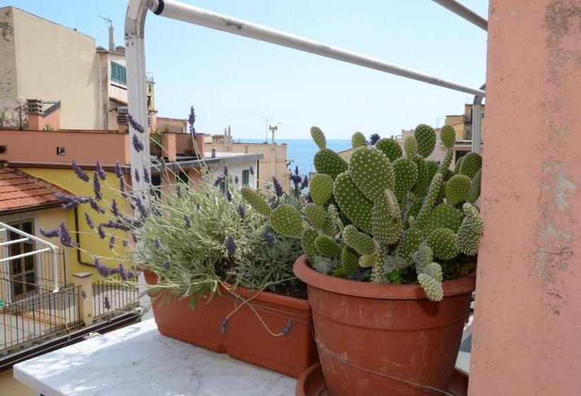 پانسیون Banchi