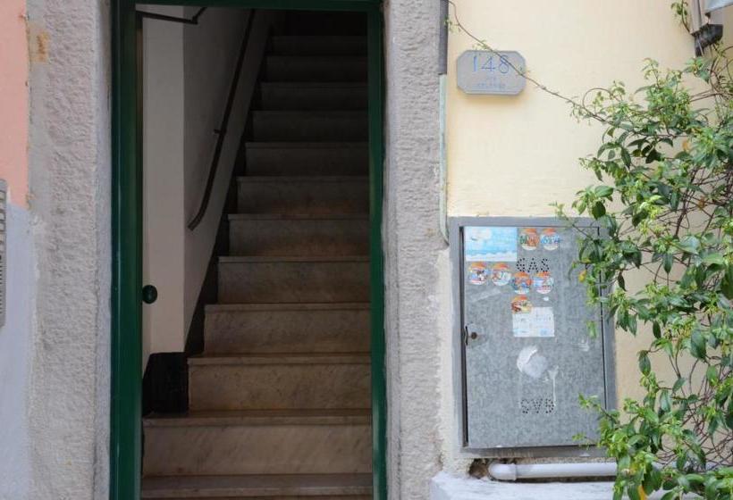 پانسیون Banchi