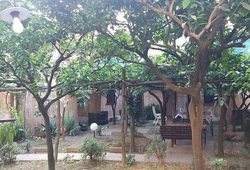 پانسیون Capricornio Club