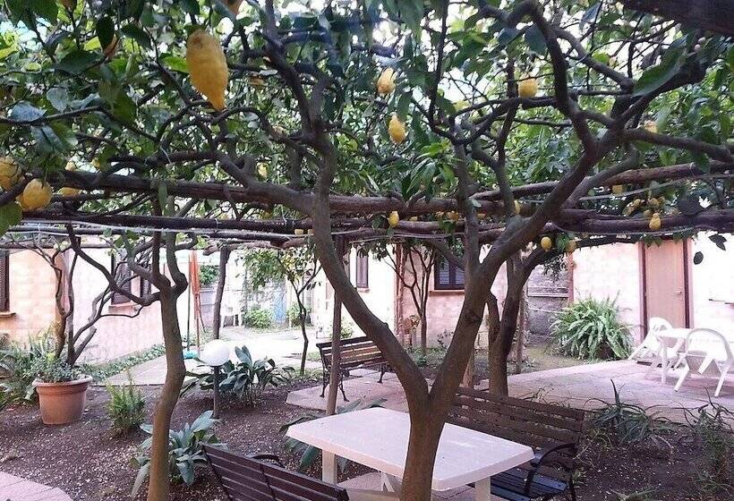 پانسیون Capricornio Club