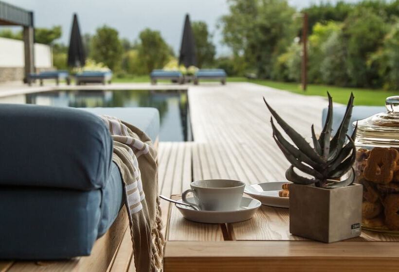 Vivere Suites & Rooms