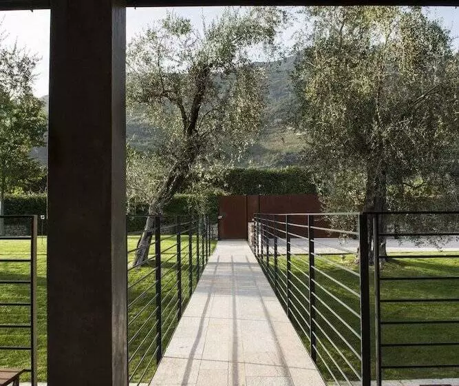 Vivere Suites & Rooms
