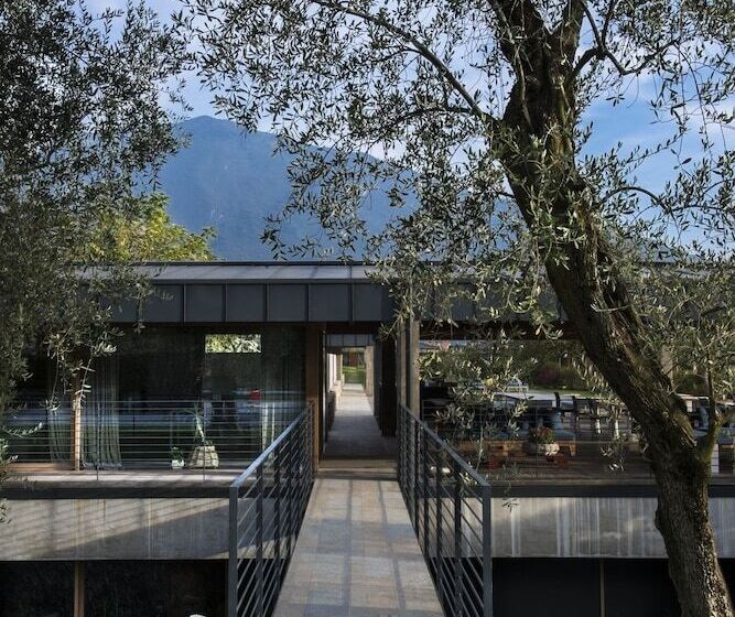 Vivere Suites & Rooms