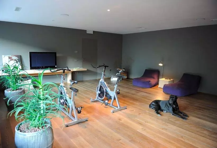 Vivere Suites & Rooms