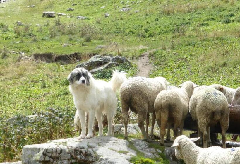 Résidence Les Ecrins