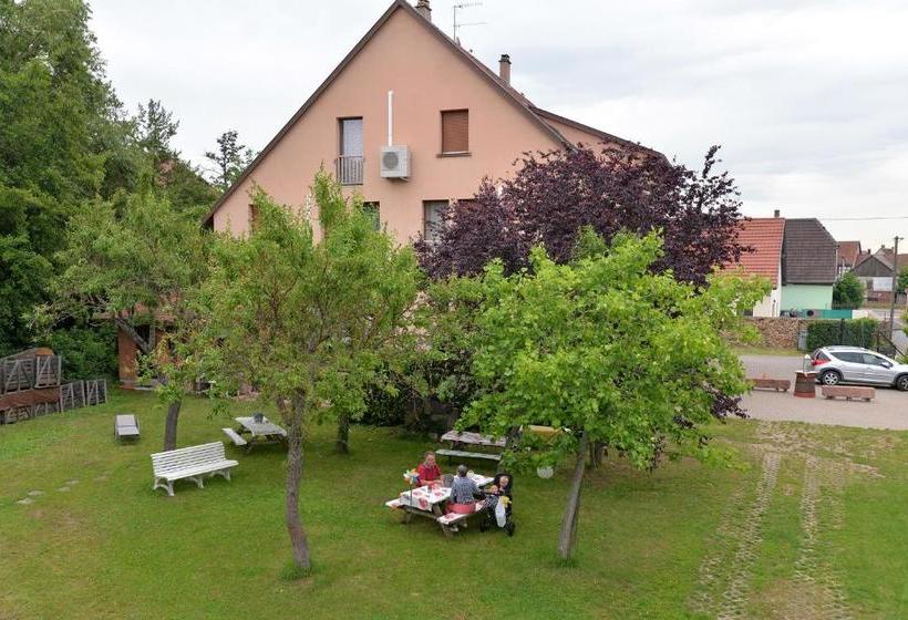 L éclos Des Vignes Appartements Haut De Gamme Avec Spa