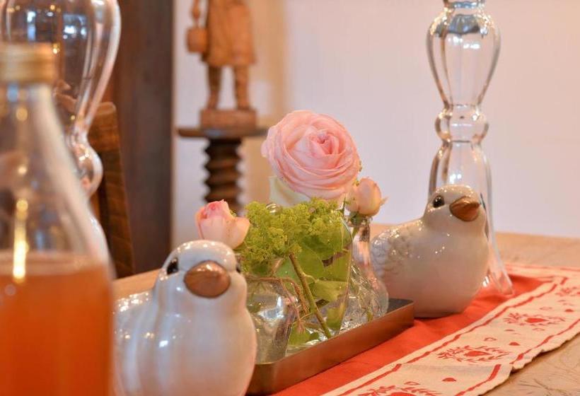 L éclos Des Vignes Appartements Haut De Gamme Avec Spa