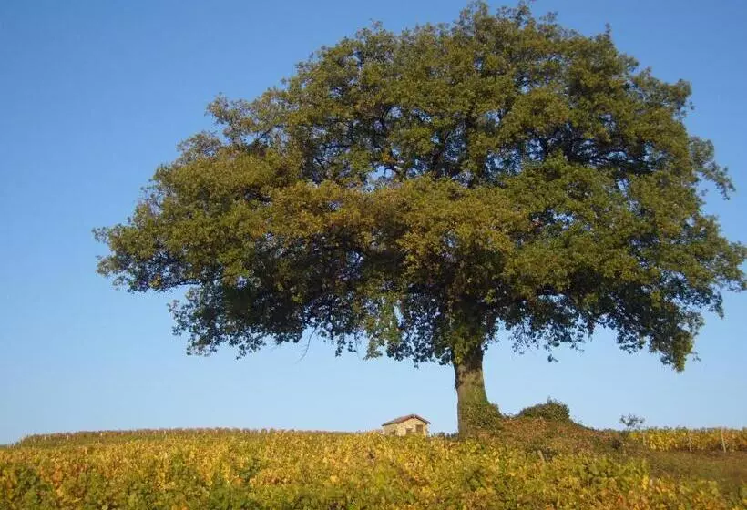 Hotelli Gîte Le Chêne Du Py
