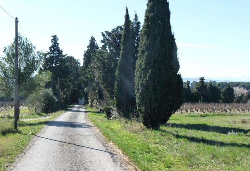 بنسيون Chateau La Bouriette