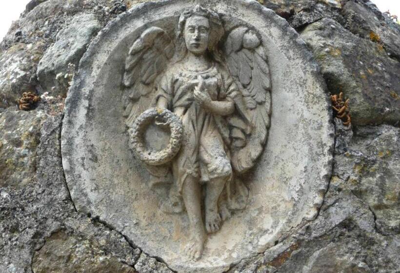 פנסיון Chateau Olmet