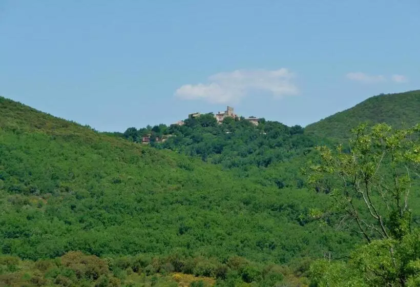 ペンション Chateau Olmet