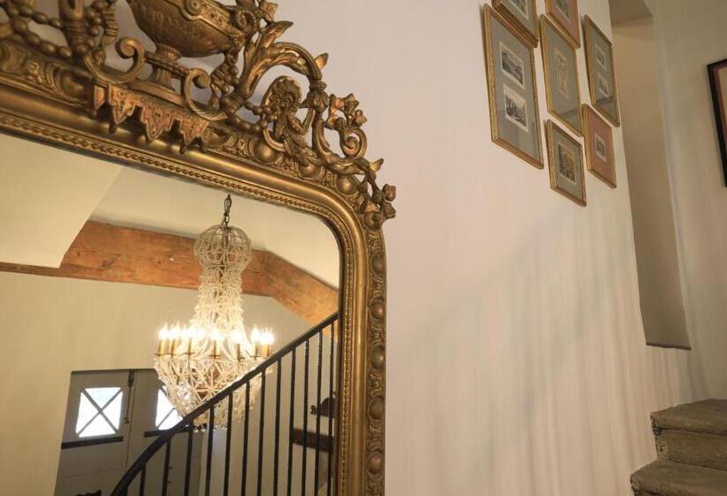 פנסיון Chateau Olmet