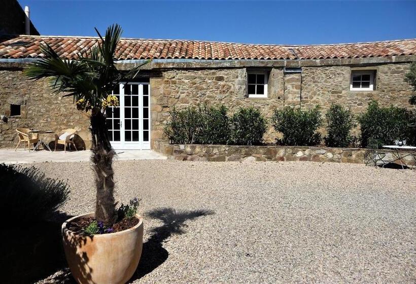 פנסיון Chateau Olmet