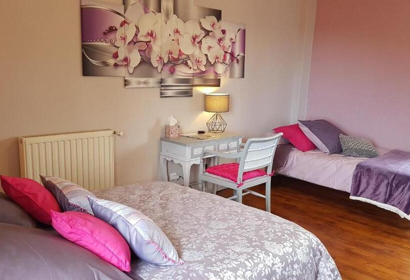 פנסיון Domaine De La Dame Blanche