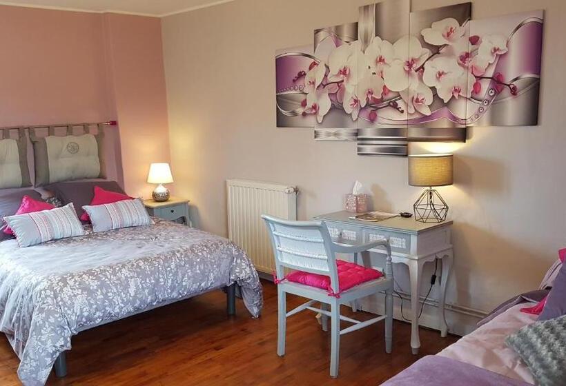 פנסיון Domaine De La Dame Blanche