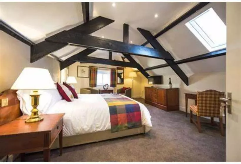 ユースホステル Seven Stars