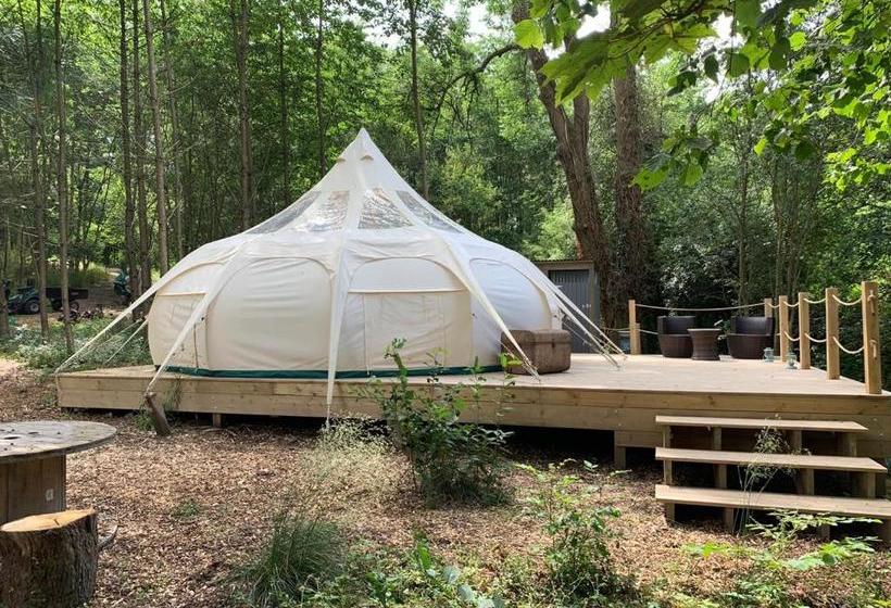 مبيت وإفطار Eithinog Hall