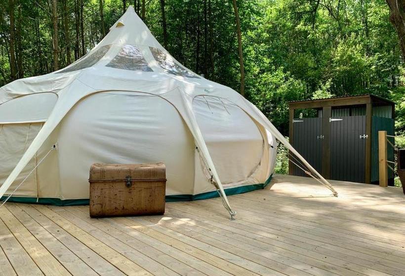 مبيت وإفطار Eithinog Hall