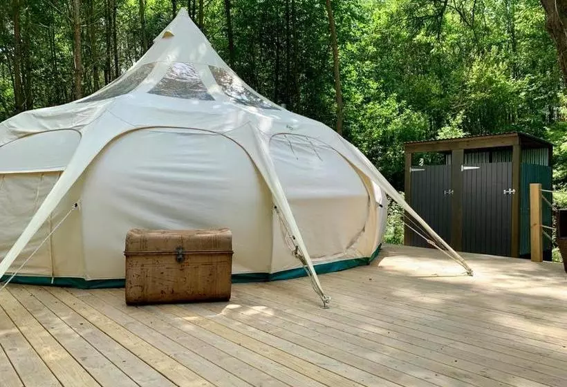 تختخواب و صبحانه Eithinog Hall