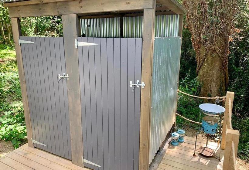 مبيت وإفطار Eithinog Hall