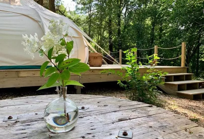 تختخواب و صبحانه Eithinog Hall