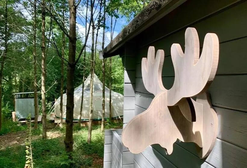 تختخواب و صبحانه Eithinog Hall