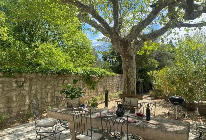 Domaine Du Mas Foucray