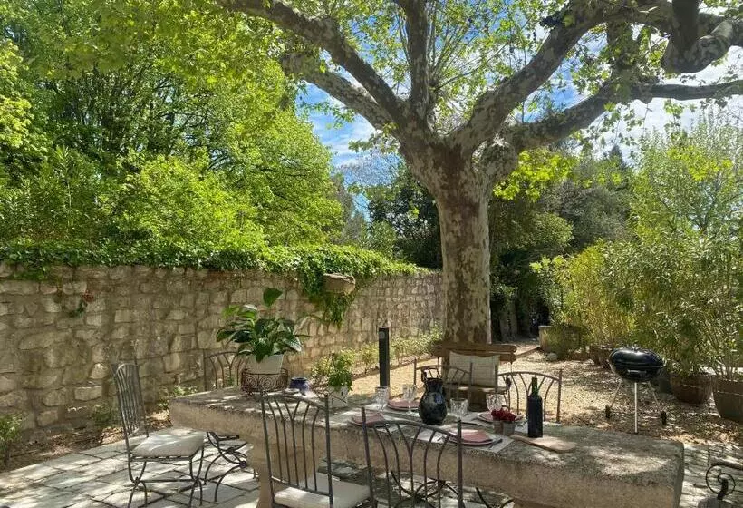 Domaine Du Mas Foucray