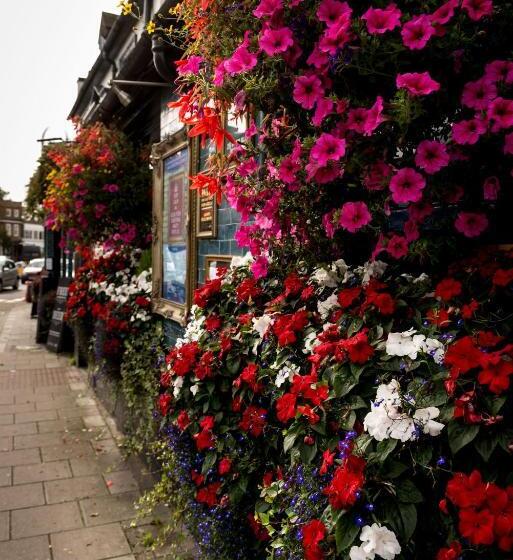 فندق The Foresters Arms