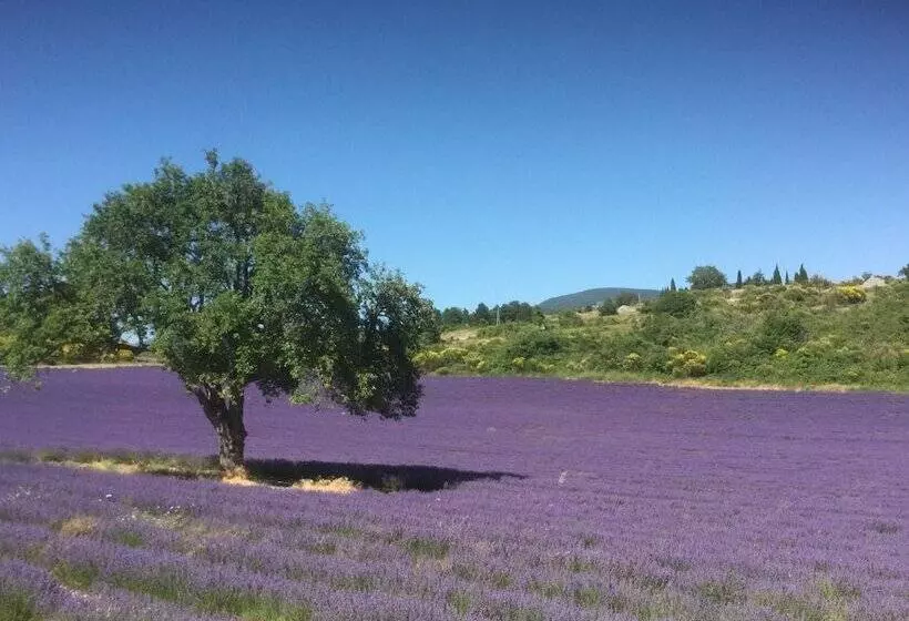 ペンション Le Jardin De Lau