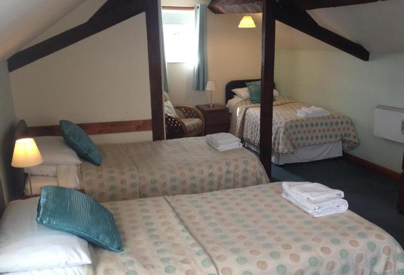 بنسيون The Green Man