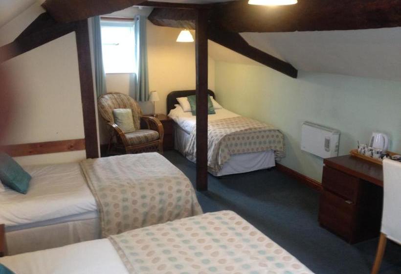 بنسيون The Green Man