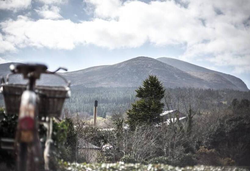 پانسیون The Haven