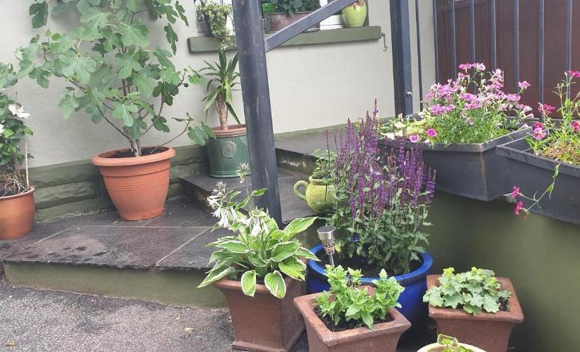 호스텔 Usk And Railway Inn