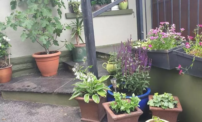 ユースホステル Usk And Railway Inn