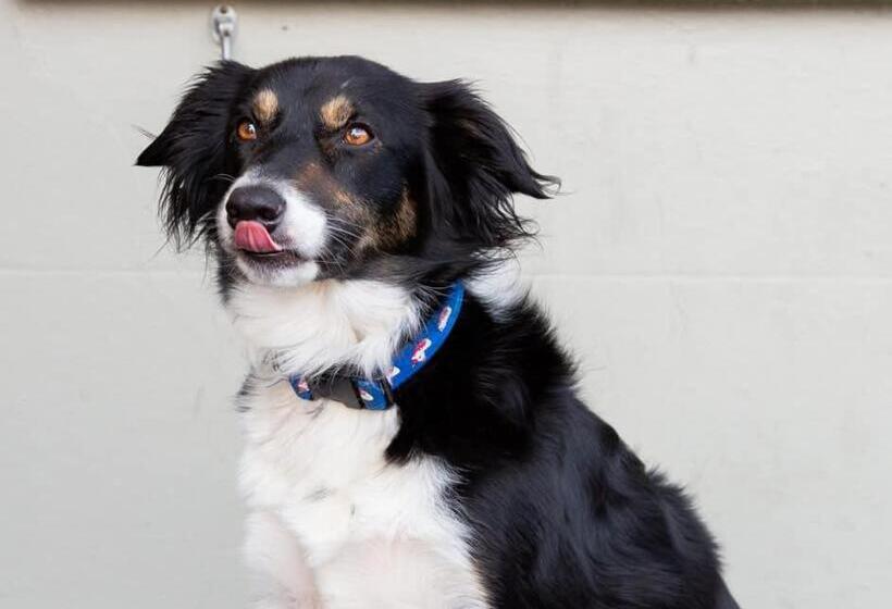 호스텔 Usk And Railway Inn