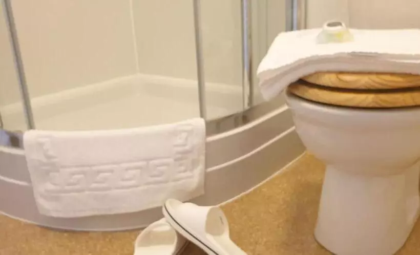 ユースホステル Usk And Railway Inn